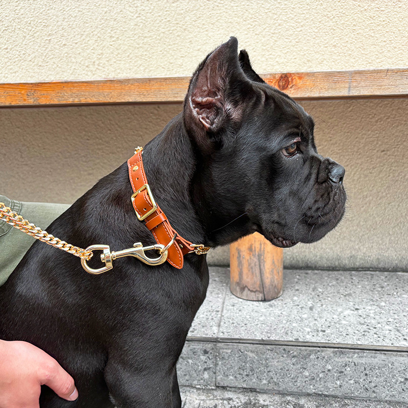 Loudik Wholesale Pet Collar Le – Leather Strap Quick Release recenzja i cena